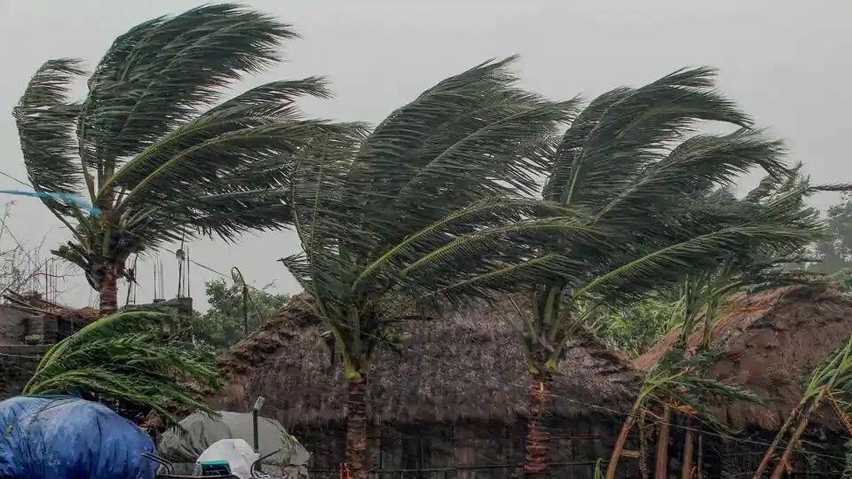 Trees sway as gusty winds induced by Cyclone Amphan hit near Dhamara Port in Odisha’s Bhadrak district, on Wednesday.