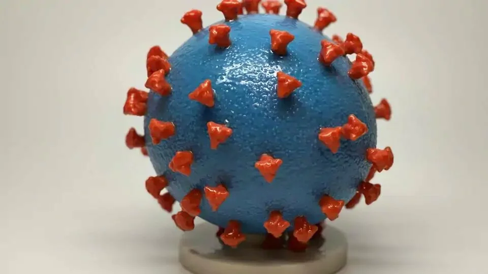 An undated photo shows a 3-D print of a SARS-CoV-2 particle, also known as novel coronavirus, the virus that causes COVID-19. The virus surface (blue) is covered with spike proteins (red) that enable the virus to enter and infect human cells.