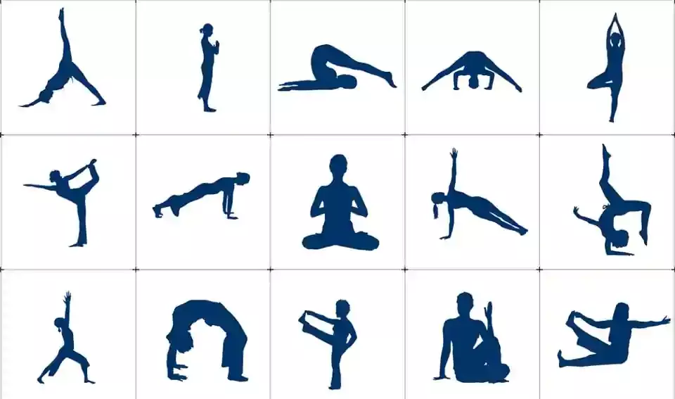 Yoga poses for beginners.