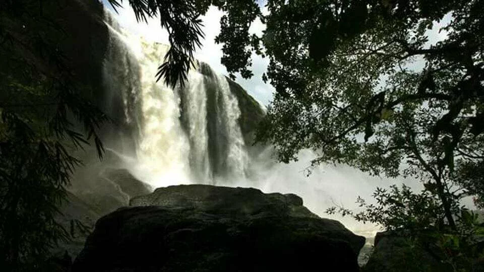 The hydel project along the famous Athirapally Waterfalls, a favourite getaway and sought after shooting location for films, was conceived in the early 1980s when Kerala was reeling under a severe power crisis but got shelved due to stiff opposition from conservationists.