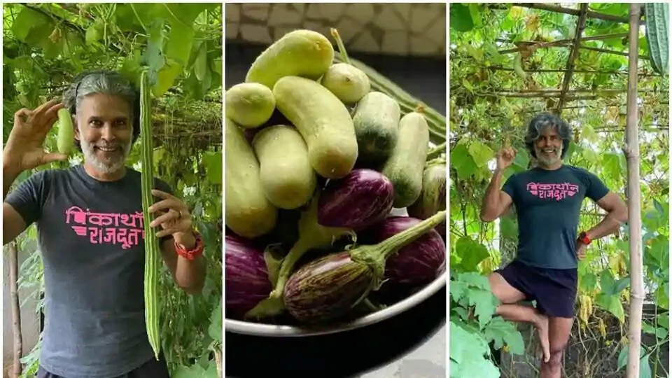 Milind Soman in his greenhouse.